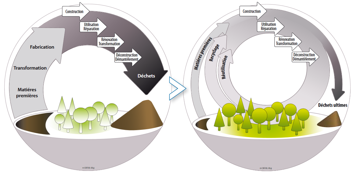 Schéma d’une économie circulaire de la gestion des déchets en construction (Source : Cifful, Ressources, Confédération Construction)